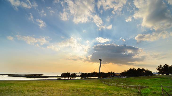 Green grass with trees near a lake and under a partly cloudy sky