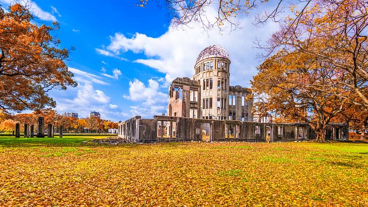 The exterior of a damaged building with no windows, surrounded by colourful trees