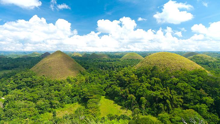 Large chocolate-green colored hills surrounded by greenery on a partly cloudy day