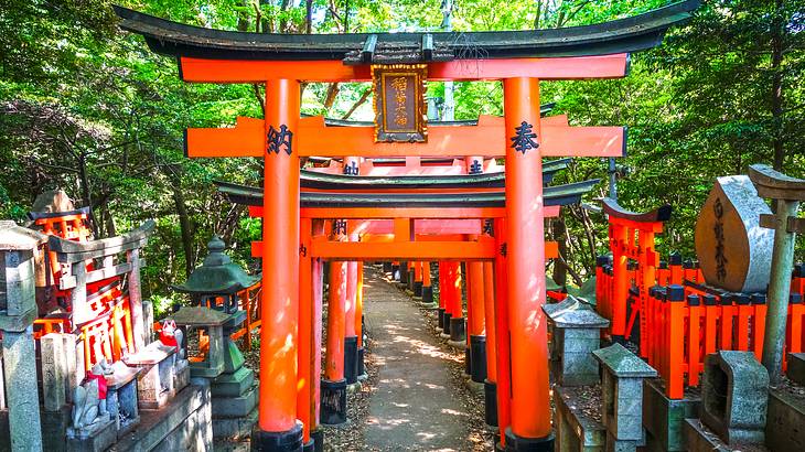 A path with red tori gates surrounded by green trees