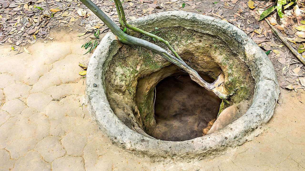 Above view of a round tunnel entrance with a root coming out on dry, grassless ground