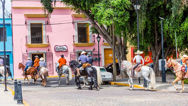 Men riding horses on a cobblestone street near a tree and a pink house