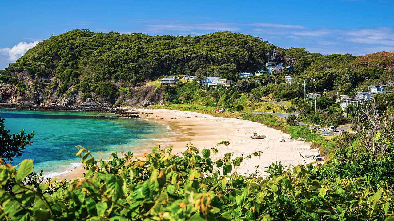 View of a beach with greenery, homes, and green trees on a hill, Seal Rocks, NSW