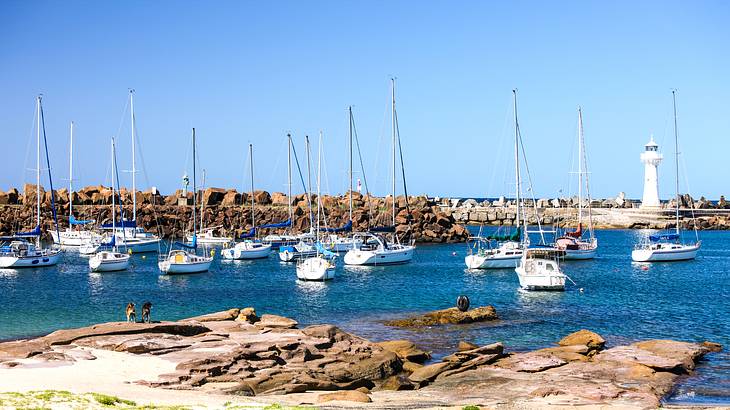 View of pools, water, a marina with boats and rocks, Wollongong, NSW, Australia