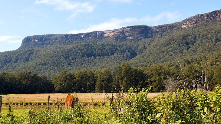 Green hilly landscape of Kangaroo Valley, NSW, Australia