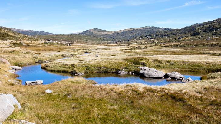 Alpine, grassy landscape in Perisher Valley on a sunny, autumn day, NSW, Australia