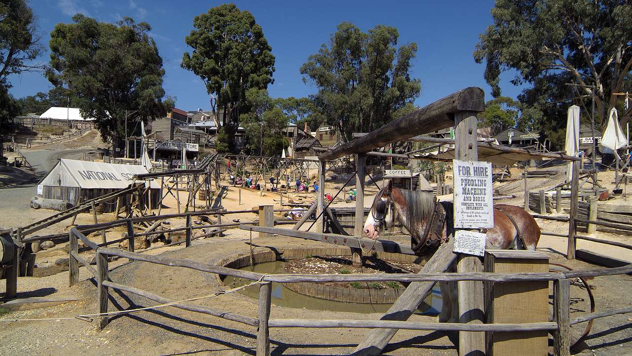An open-air museum full of structures outside, Sovereign Hill, Victoria, Australia