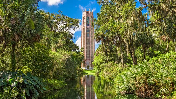 Reflections of a tower on a lake surrounded by lush green trees and plants