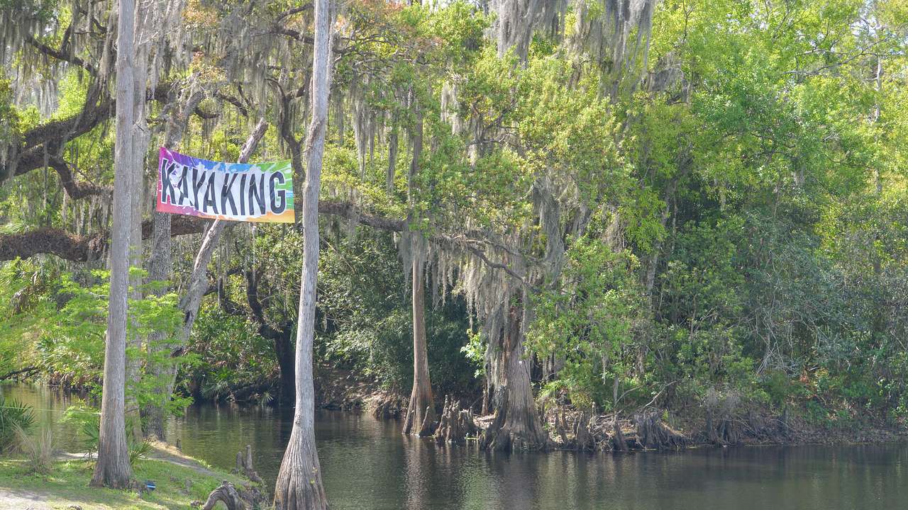 "Kayaking" poster hanging on trees along a river on a sunny day