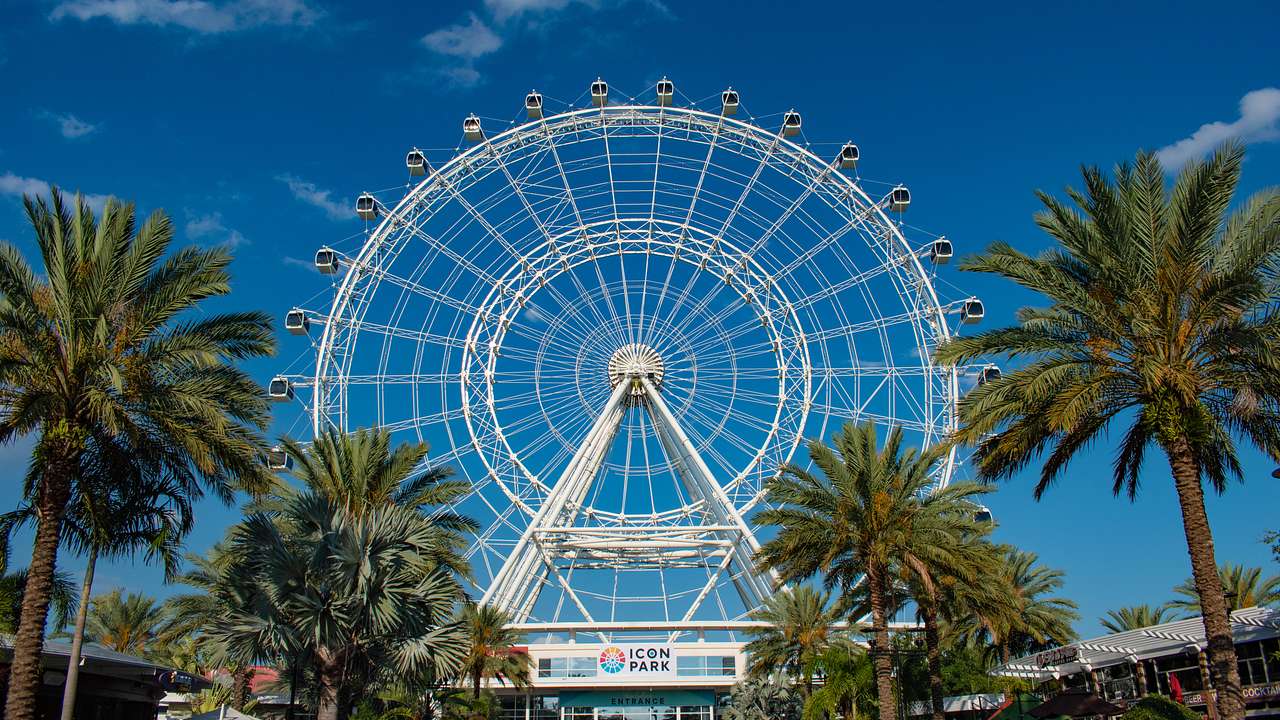 Palm trees around a white Ferris wheel with an "Icon Park" poster at the bottom
