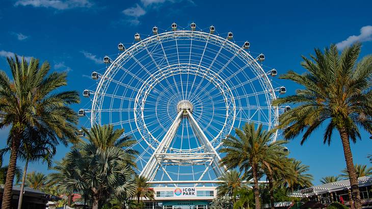 Palm trees around a white Ferris wheel with an "Icon Park" poster at the bottom