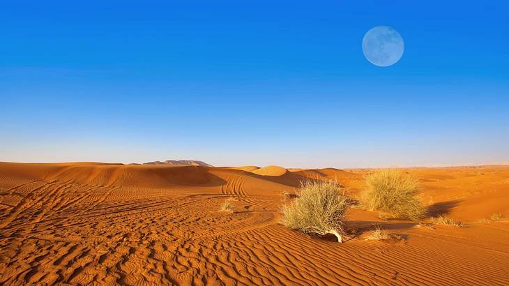 A desert with sand dunes under a blue sky at dusk with the moon visible