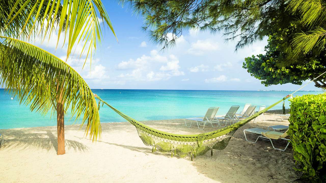 A green hammock and beach lounge chairs near palm trees by the ocean