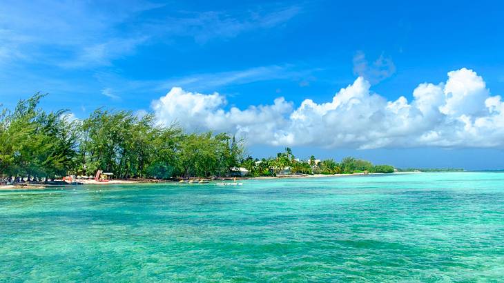 Turquoise ocean water next to green trees under a blue sky with clouds