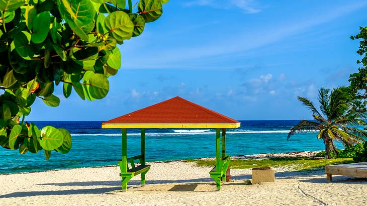 A colorful wooden hut by the beach near a palm tree