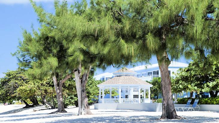 A white gazebo near trees on the beach shore