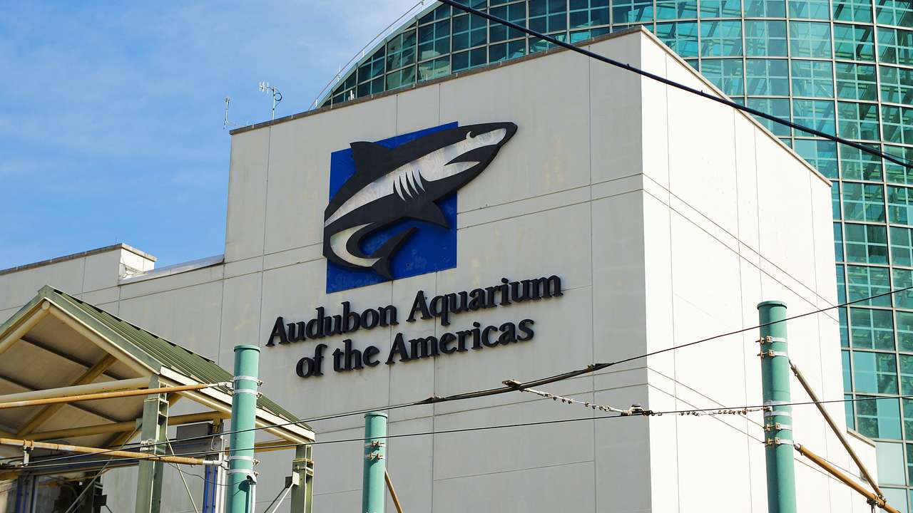 A building with a sign with a shark that says "Audubon Aquarium of the Americas"