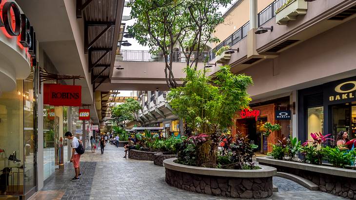 A street in an open air mall with shops either side and greenery in the middle