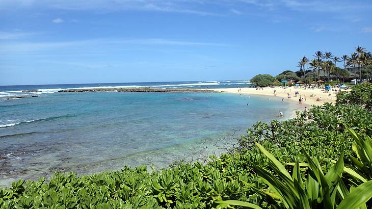 Greenery overlooking a cove with people along the shore, some huts, and palm trees