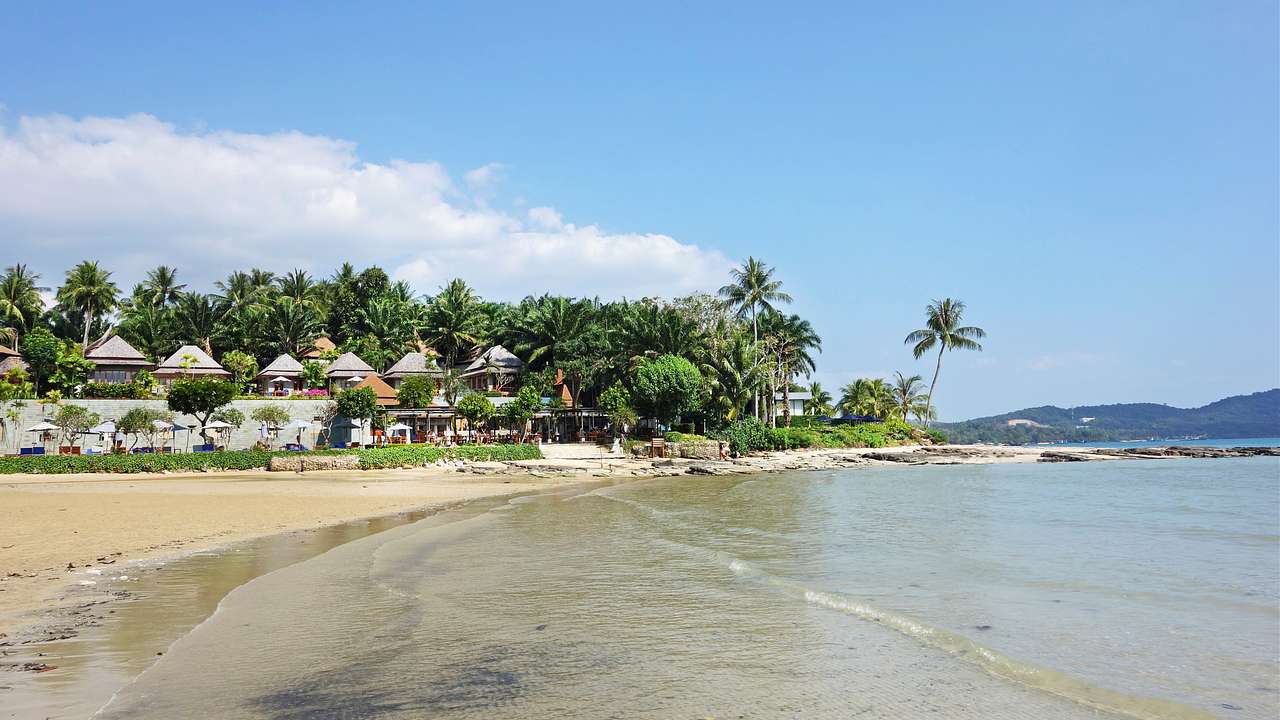 A beach near palm trees and beachfront structures