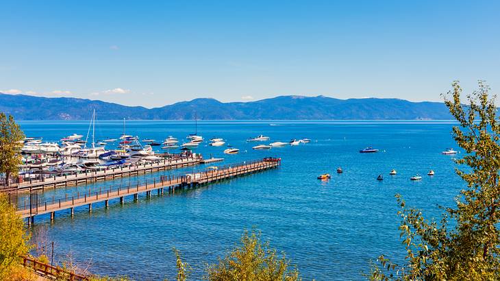 A view of a port with many boats and hills in the distance under a blue sky