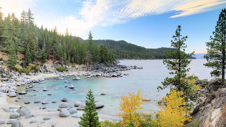 A rocky beach shore near trees and a mountain in the background