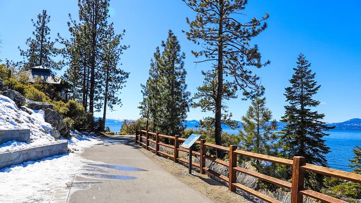 A snowy concrete walking path near wooden railings and trees on a sunny day