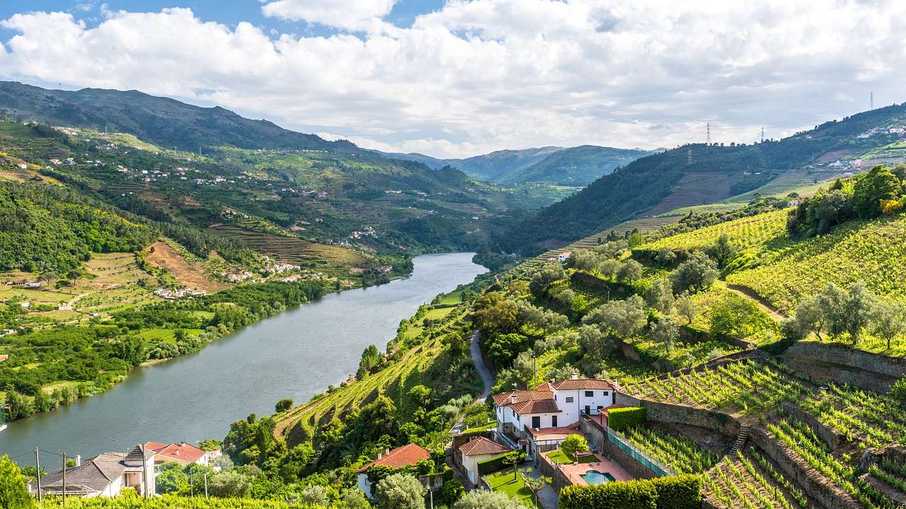A view over a valley with a river, greenery-covered hills, vineyards, and houses