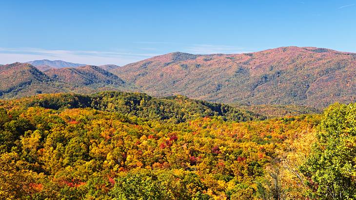 A vast mountain region enveloped in autumn colored foilage