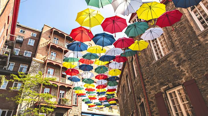 A group of colorful umbrellas suspended mid-air between buildings on a sunny day