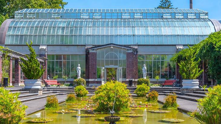 A glasshouse next to an artificial pond surrounded by green plants and trees