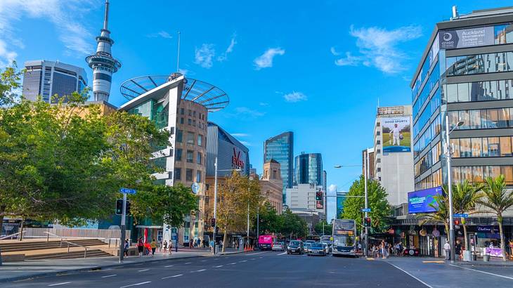 A city street with trees, buildings, and an observation tower, and cars on the road