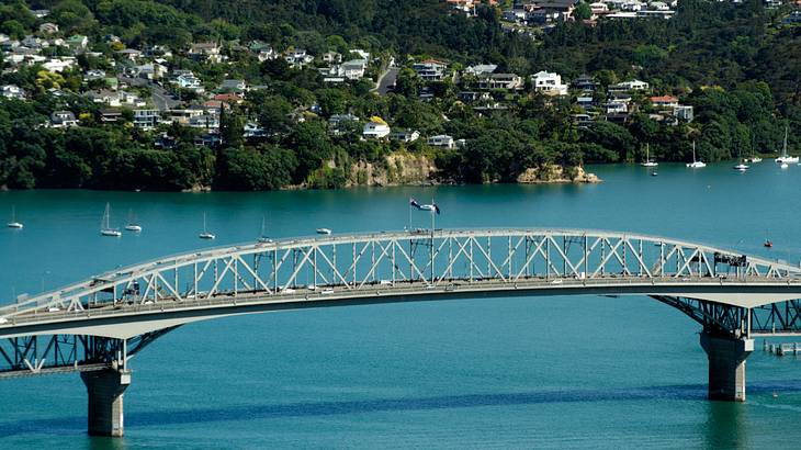 A long steel bridge over water with houses on a greenery-covered hill behind it