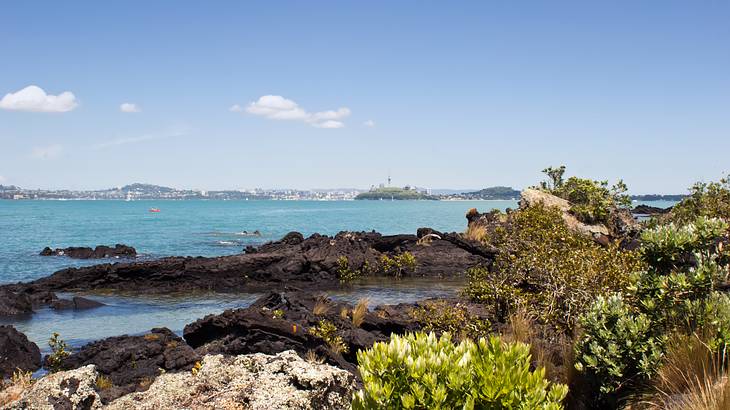 A rocky area with plants and pools of water next to the blue ocean