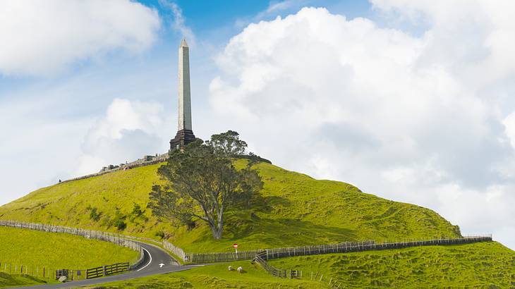A hill full of greenery with roads, a tree, and an obelisk on top on a nice day