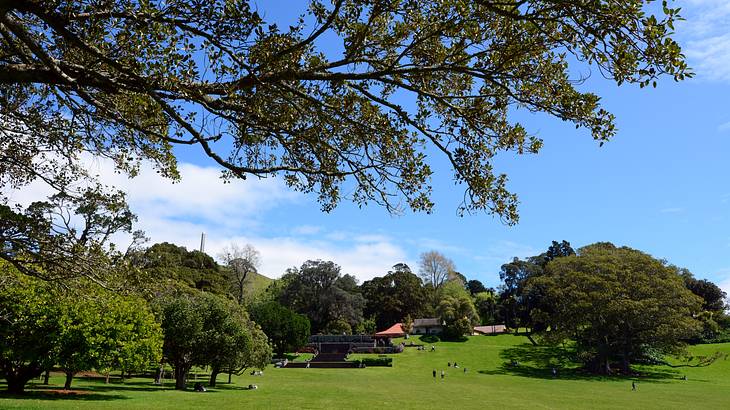 A park filled with many trees, people, and some buildings in the far distance