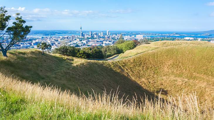 Grass on top of a mountain with a few trees and a view of a city in the distance