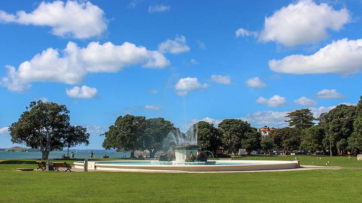 Green grass with a fountain in the middle and trees around it under a blue sky