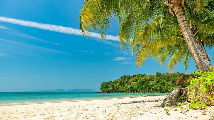 A palm tree by the sand, a lush island, and the ocean under a blue sky