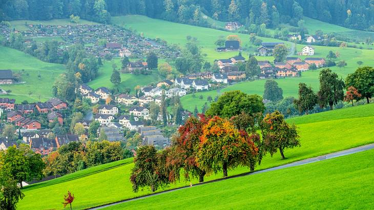 Trees on a steep lush terrain with a village of houses in the background