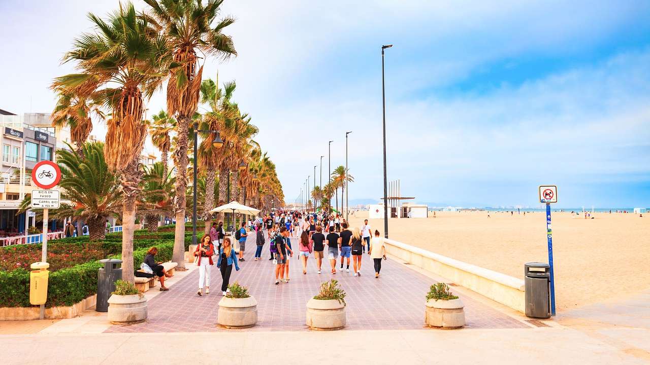 People walking on a palm tree-lined path next to a sandy beach