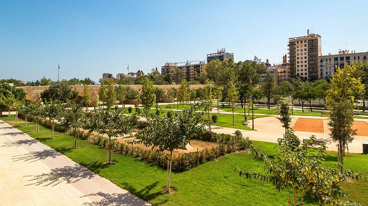 A park with young trees, grass, and walkways near buildings