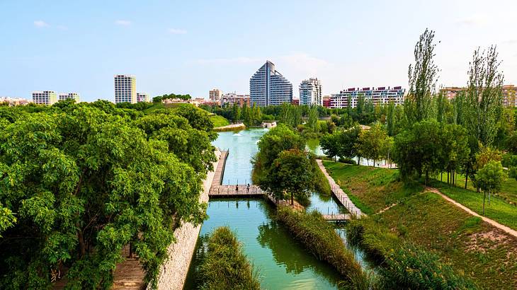 A lake with green trees around it and a city skyline in the distance