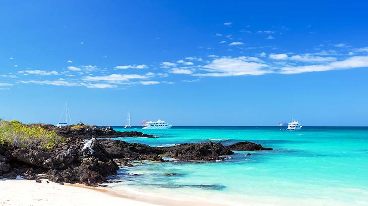 A view of the ocean with ships from the sandy shore near rocks