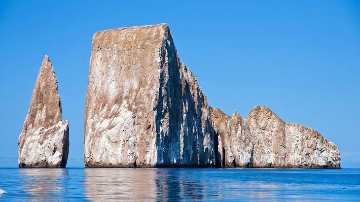 Santa Cruz Island is where to stay in the Galápagos Islands for the best diving sites