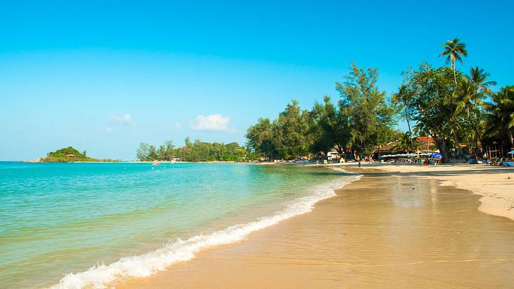 A sandy shore next to turquoise ocean with trees in the distance under a blue sky