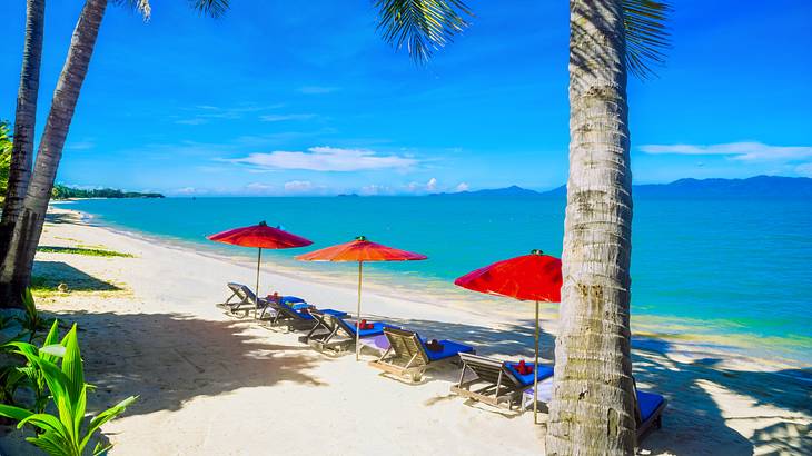 Red umbrellas and blue lounge chairs on a sandy beach by the ocean