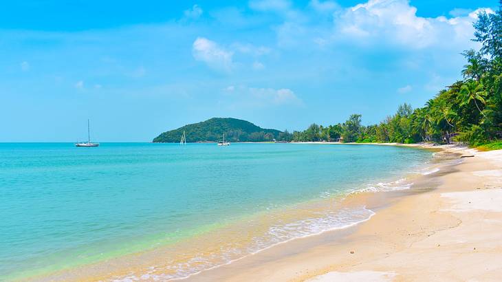 A beach with turquoise water and greenery around it under a blue sky