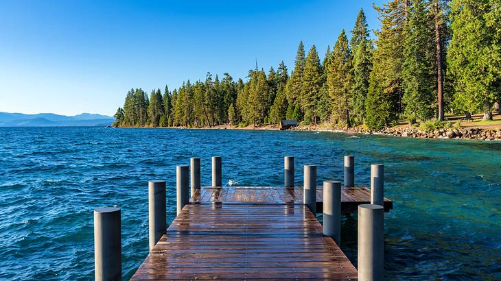 A view of the lake near a forest from a small wooden dock