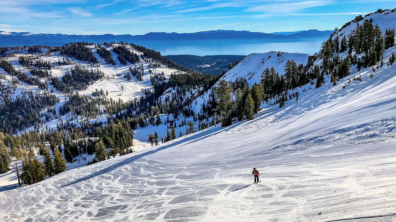 A man skiing on a snowy mountain with alpine trees